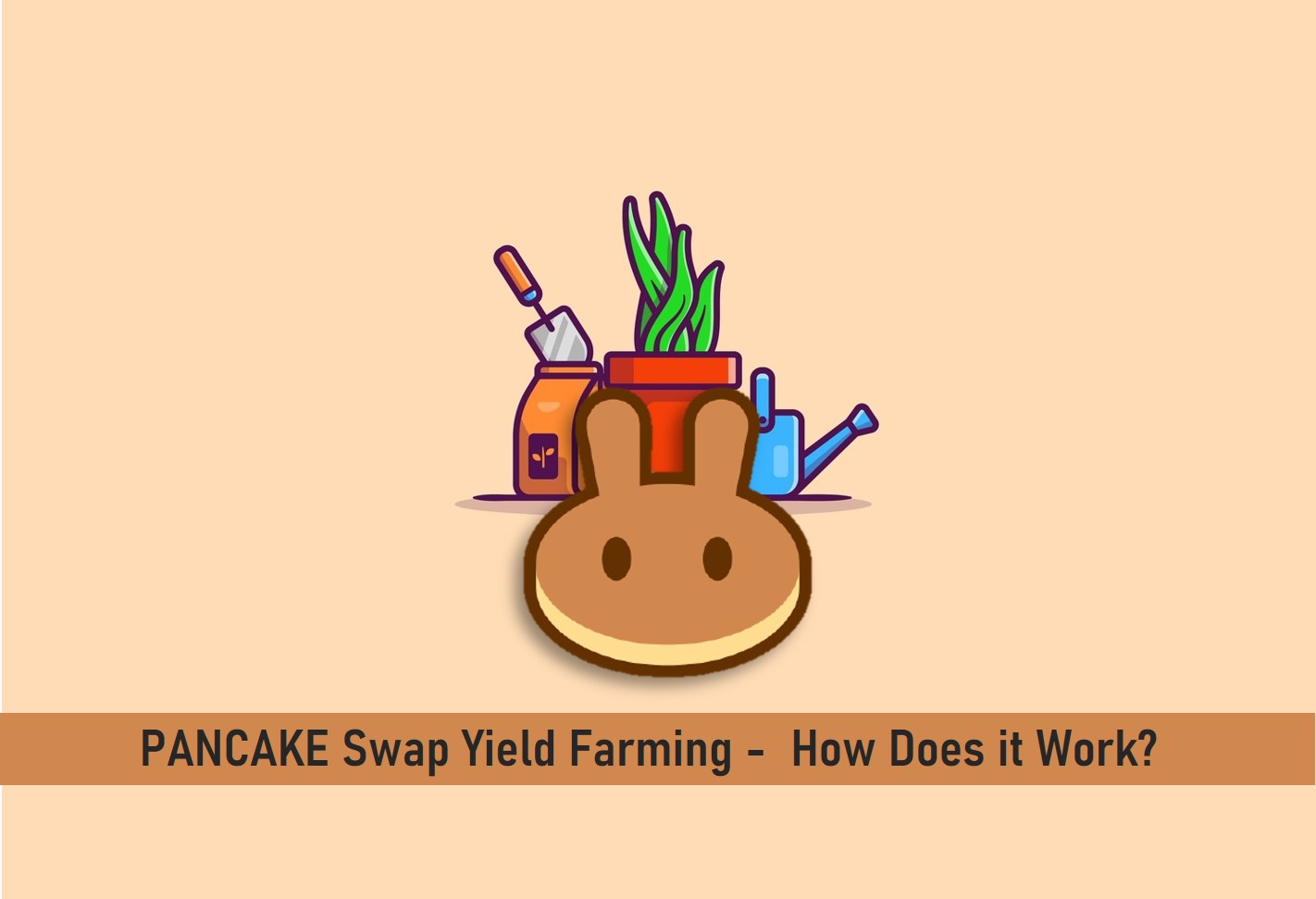 PancakeSwap Yield Farming How Does it Work OX Currencies